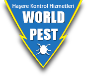 Worldpest Böcek İlaçlama - İstanbul Böcek İlaçlama Worldpest Böcek İlaçlama - İstanbul Böcek İlaçlama