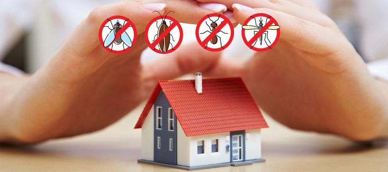 En Doğru Ev İlaçlama Servisi İçin WorldPest Böcek İlaçlama Worldpest